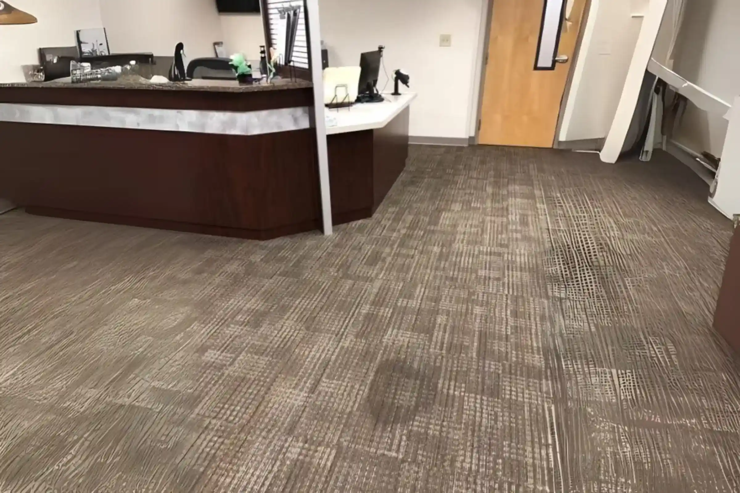 Before Carpet Cleaning